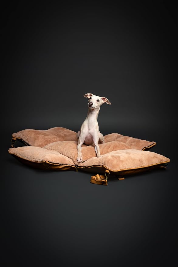 NOAH & PAW Small Dog Car Seat for Small Medium Pets with Harness Clip, 4X Safety Feature, Washable Dog Seat for Car, Orthopedic Foam Wrapped with Plush, Vegan Leather - Image 7