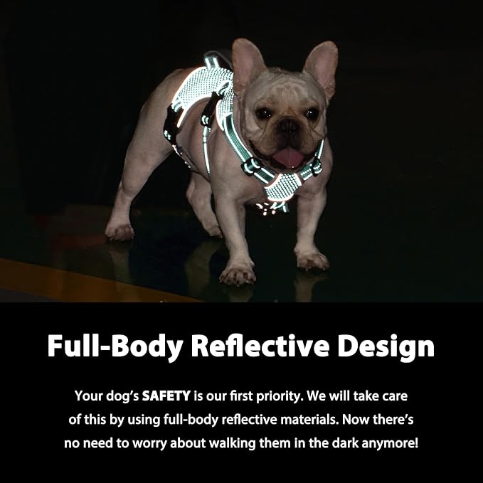 Escape Proof Dog Harness, Dachshund Harness, Reflective Dog Harness with Handle, Durable,Adjustable Vest for Small Medium Large Dogs Walking, Training, and Running Gear (Mint Green,XL) - Image 3