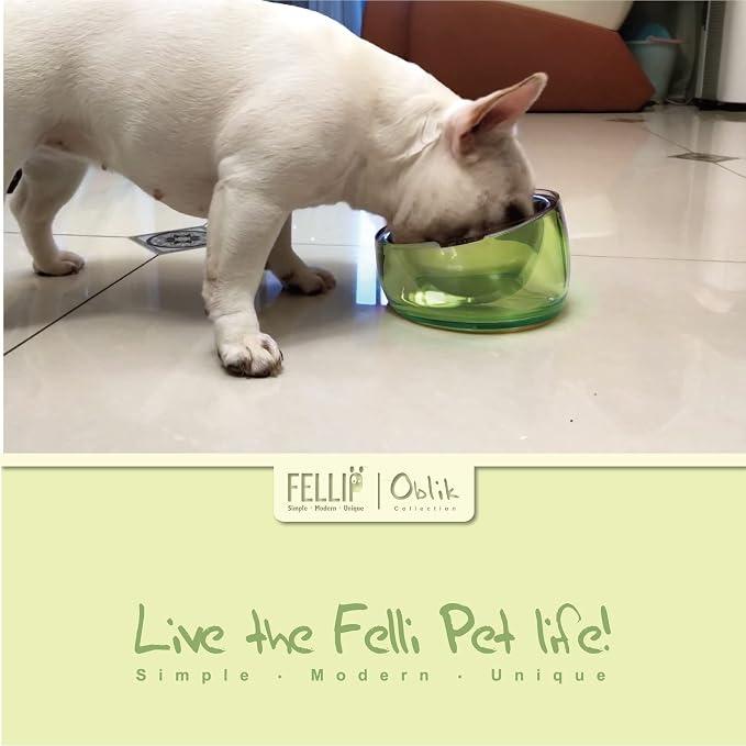 Felli Pet Oblik Acrylic Raised Dog Food Water Bowl Stainless Steel Slanted Oval Dish for Short Leg Puppy & Small Medium Pet, Elevated Tilted Metal Feeder(Jade, 1.5 Cups Oval Dish) - Image 9