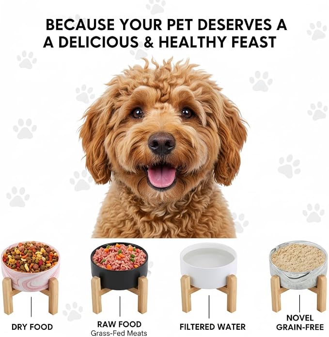 Elevated/Raised Ceramic Dog Bowl with Bamboo Stand，6 Inch 3.6 Cups Non Slip Heavy Weighted Single Pet Dish, for Small Medium Breed & Cats,Reduces Neck Strain Black - Image 4