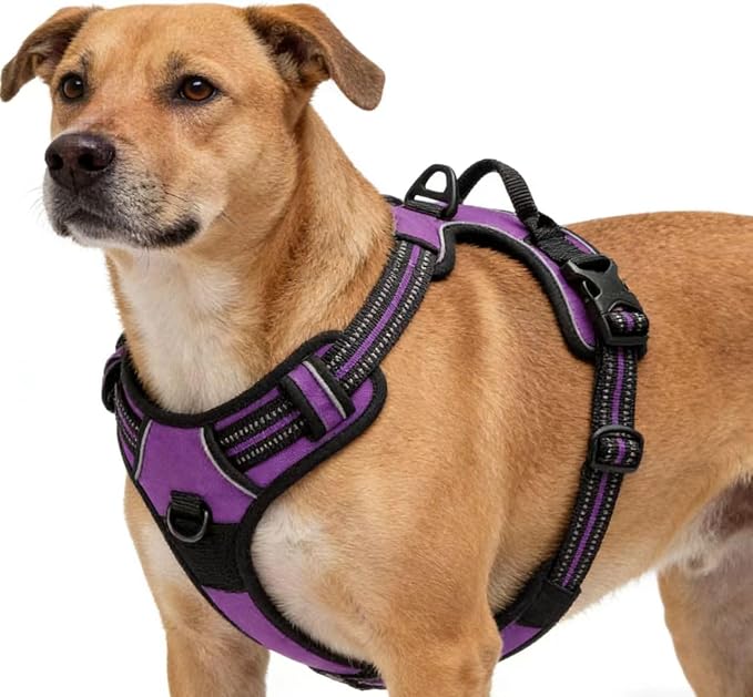 Purple No-Pull Dog Harness with 2 Leash Clips，Soft Padded Vest for Large Dog, Adjustable Reflective Dog Vest Easy to Put on and Take Off,Neck: 18"~26", Chest: 25"~34",Purple XL - Image 4