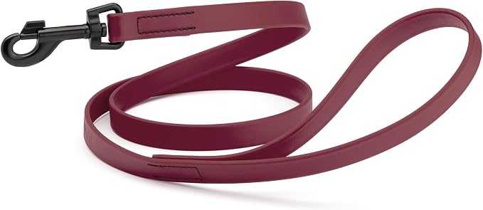 Dogline Biothane Waterproof Dog Leash Strong Coated Nylon Webbing with Black Hardware Odor-Proof Easy to Clean High Performance for Small or Large Dogs Made in USA 4 or 6 ft Lead, Merlot Burgundy by Dogline