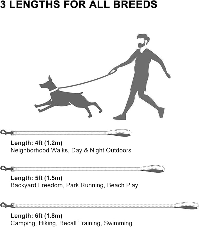 Taglory Reflective Dog Leash for Medium Large Dogs, 1in x 5ft, Sky Blue | Ideal for Night Walking, Strong for Sudden Pulls, Lightweight & Gentle on the Neck, Soft Padded Handle - Image 7