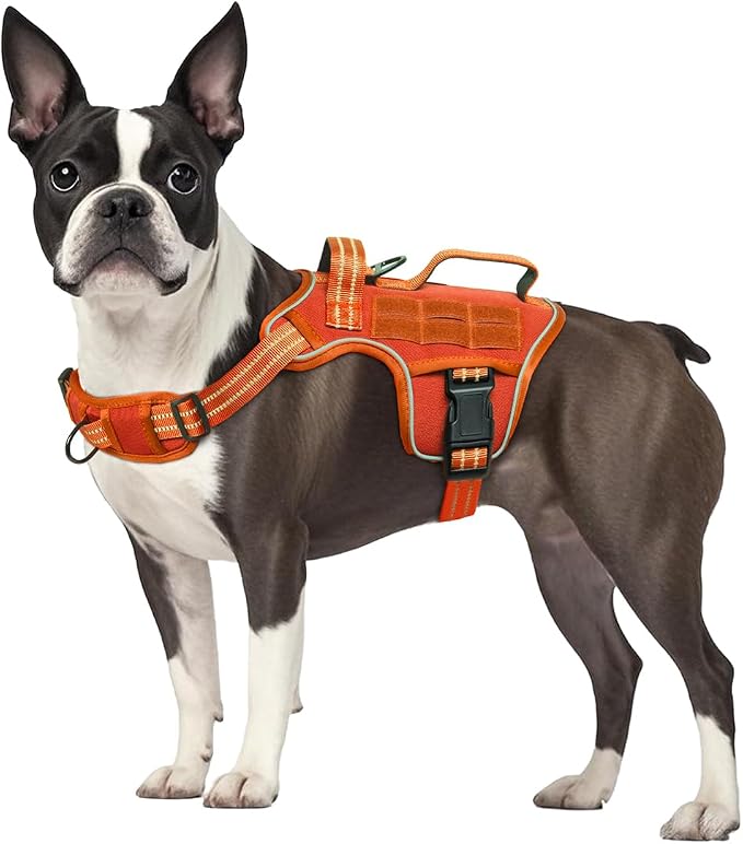 Dog Harness, Tactical No Pull for Small Sized Dog with Handle | Breathable Soft Padded, Adjustable, Reflective, Molle System, Heavy Duty, No Choke for Walking Training, Orange Small - Image 8