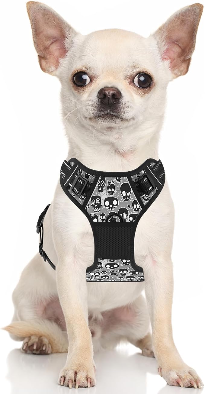Rnivvi No Pull Dog Harness, Cute Reflective Small Sized Puppy Kitten Harness, Adjustable Soft Padded Vest for Small Dogs, Cats, Heavy Duty Pet Vest with Easy Control Handle for Walking, Black Skull - Image 2
