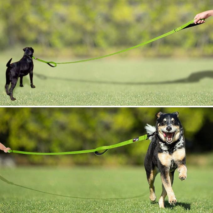 Plutus Pet Double Handle Dog Leash, 5 FT Long, for Medium Large Dogs | Reflective Nylon, Soft Padded 2 Handles, Heavy Duty for Training, Dual Handle Lead, 5 FT x 1”, Green - Image 7