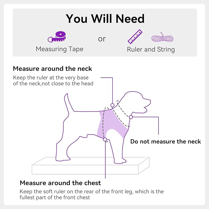 Joytale Step-in Dog Harness, Soft Breathable Mesh, Purple XXXS | Adjustable Fit for Small Dogs, Easy Step-in with Secure Fastener, Even Chest Pressure, Reflective For Night Safety, Washable - Image 7