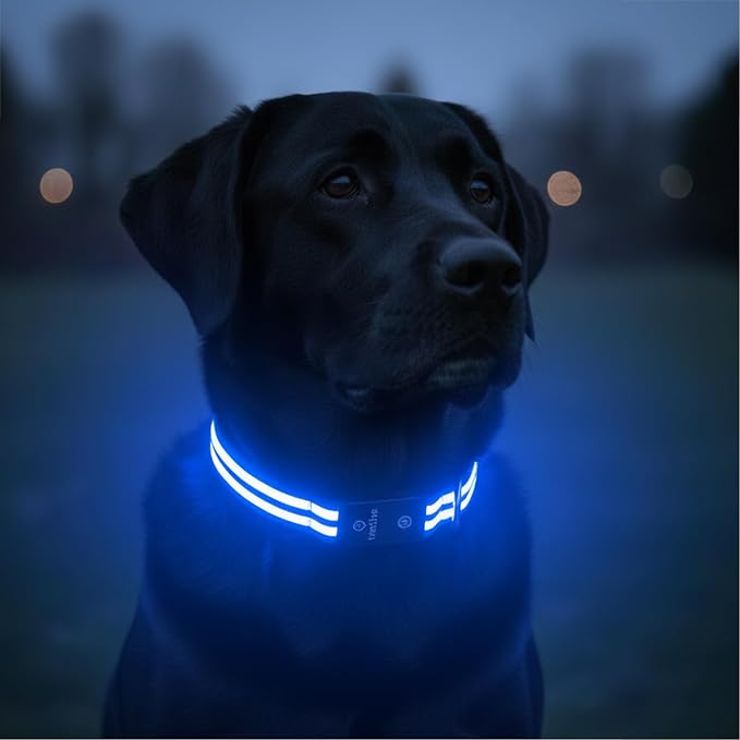 Tractive LED Light Up Dog Collar USB Rechargeable Waterproof (Blue) by Tractive