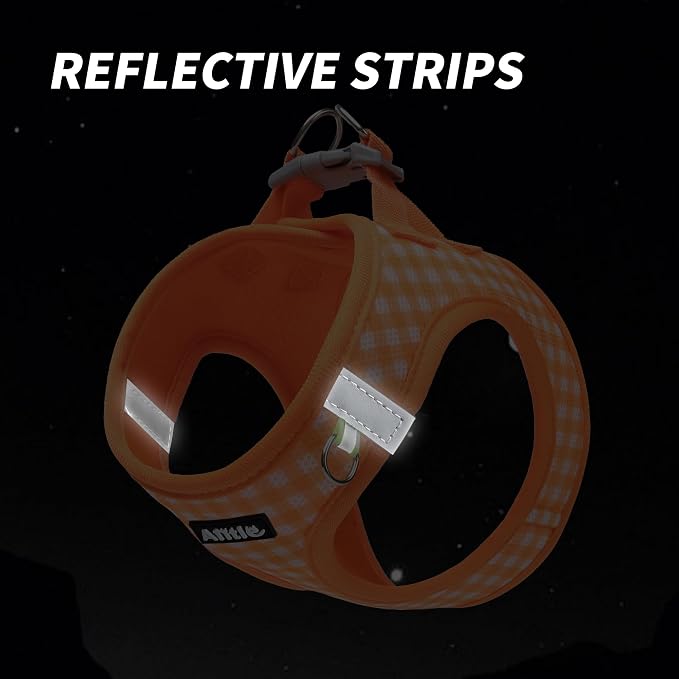 AIITLE Step in Small Dog Harness and Leash Set, Puppy Pet Vest, Orange XXS | Breathable Mesh, Adjustable Fit, No-Pull Reflective Design, Escape Proof, for Small-Medium Dogs, Outdoor Walking, Running - Image 2
