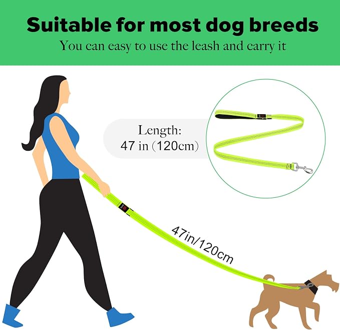 Illumifun LED Dog Leash, USB Rechargeable Glowing Light Up Dog Leash, Nylon Flashing Safety Pet Light for Night Walking (GreenⅡ) - Image 5