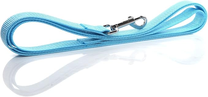 Nylon Dog Leash 4 Ft 5 Feet 6 Foot Long, Walking Training Dog Leashes for Medium Large Dogs, 1 Inch Wide (3/4" X 6 ft, Blue) - Image 3