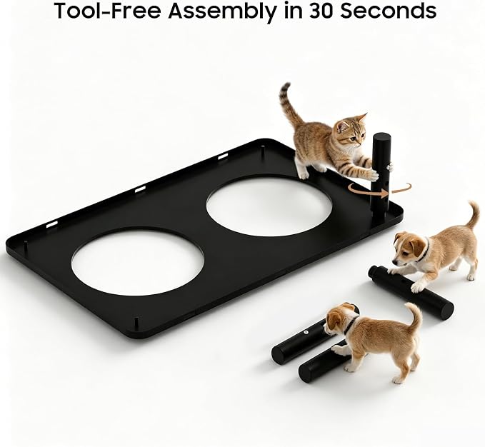 Adjustable Elevated Cat Bowls,6°/12° Tilted Cat Bowl Stand Anti-Vomiting | 3 Heights,Raised Cat Food and Water Bowl Set with Metal Stand,2 Stainless Steel Bowls for Cats and Puppy - Image 6