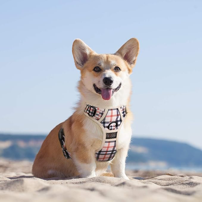 PoyPet Plaid Dog Harness Small, No Pull Vest with Front Clip & Neck Buckle | Padded Handle, Reflective, No Choke, Lockable, 2 Leash Rings, Full Adjustable, for Training Walking, XS, Checkered Beige - Image 2