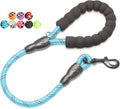 2/4/5/6 FT Dog Leash with Comfortable Padded Handle and Highly Reflective Threads for Small Medium and Large Dogs (2FT-1/2'', Blue) by BAAPET