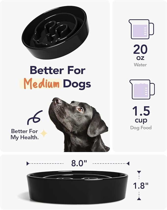 LE TAUCI Dog Bowls Slow Feeder Ceramic, 1.5 Cups Slow Feeding Dog Bowl Small Medium Breed, Puppy Bowl for Fast Eaters,Skull Black - Image 3