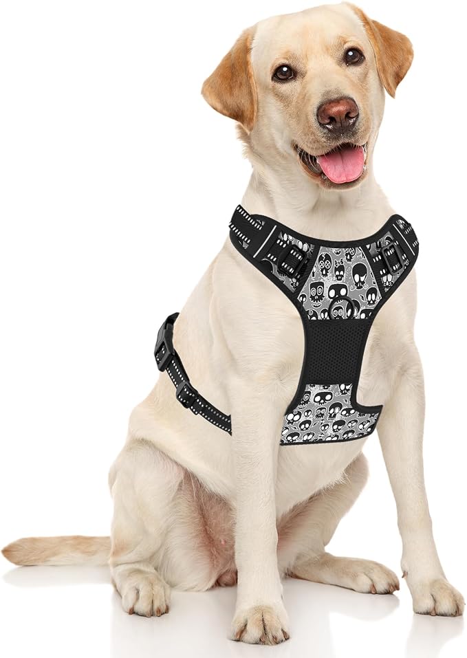 Rnivvi No Pull Dog Harness, Cute Reflective Medium Sized Puppy Kitten Harness, Adjustable Soft Padded Vest for Medium Dogs, Heavy Duty Pet Vest with Easy Control Handle for Walking, Black Skull - Image 2