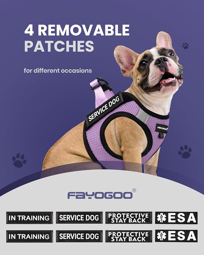 FAYOGOO Service Dog Vest Set for Small Dogs, Mesh Harness and Leash | Lightweight step-in vest with leash and removable identification patches; measure neck and chest before choosing a size - Image 3