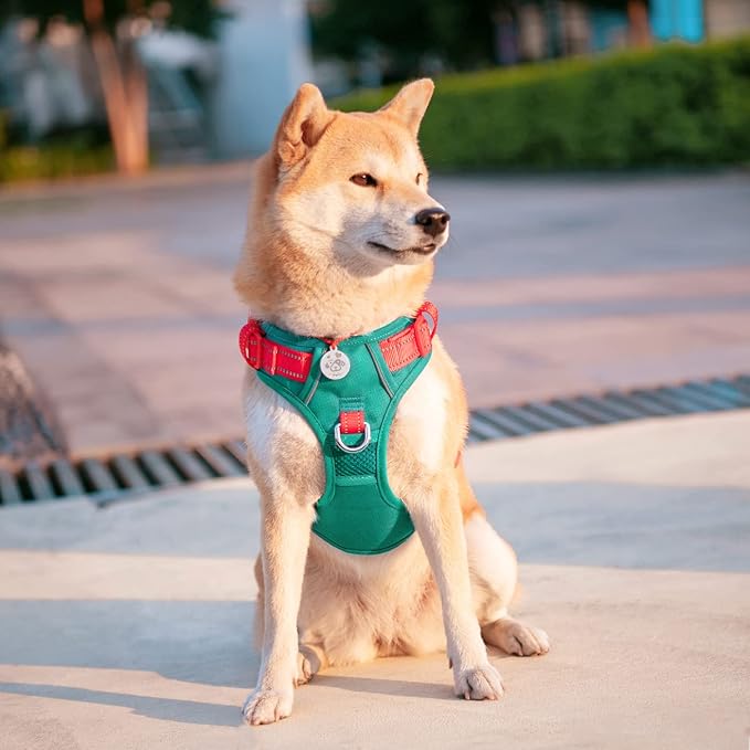 No Pull Dog Harness, Unique Colors Reflective Adjustable Dog Vest | with Soft Training Handle Metal Clips for Small Medium Large Dogs (Dark Green Base & Red Straps,XL) - Image 3