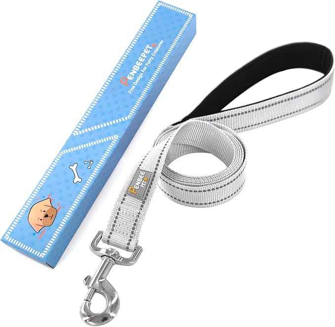 6 FT Basic Dog Leash for Medium Dogs,Silver | Padded Handle,Metal D-Ring,Heavy Duty Nylon Webbing, for Walking & Training - Image 6