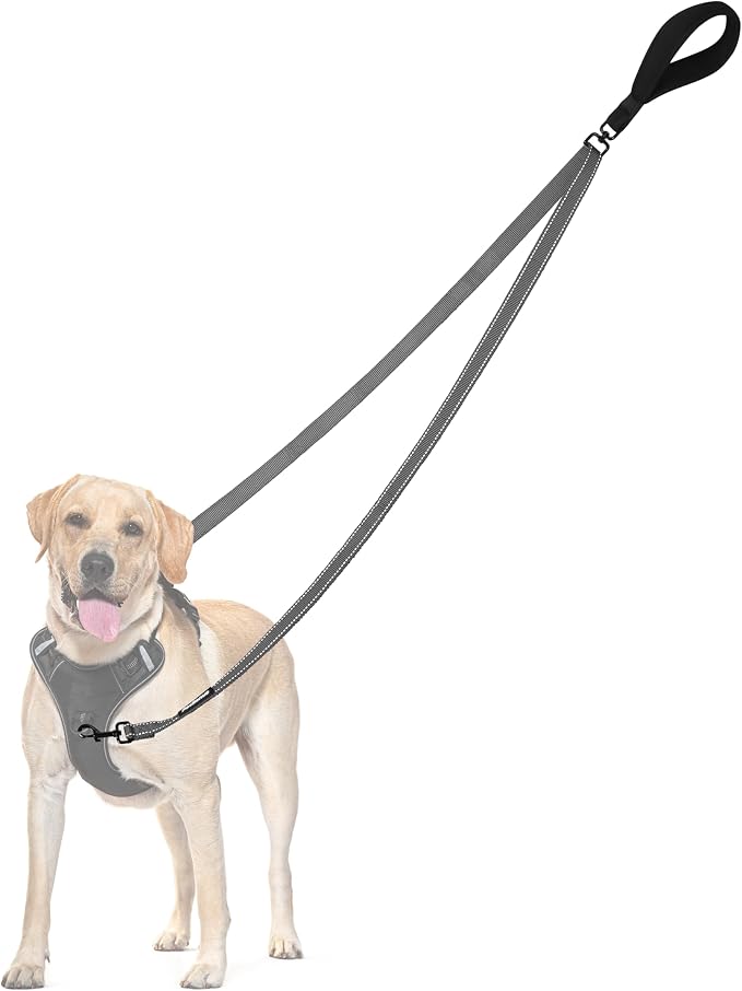 PetBonus Two Point Control Dog Leash, No Tangle Training Walking Leashes | Soft Padded Handle, Reflective, Works with No Pull Harnesses, Converts to Single Lead for Medium Large Dogs, Grey by Petbonus