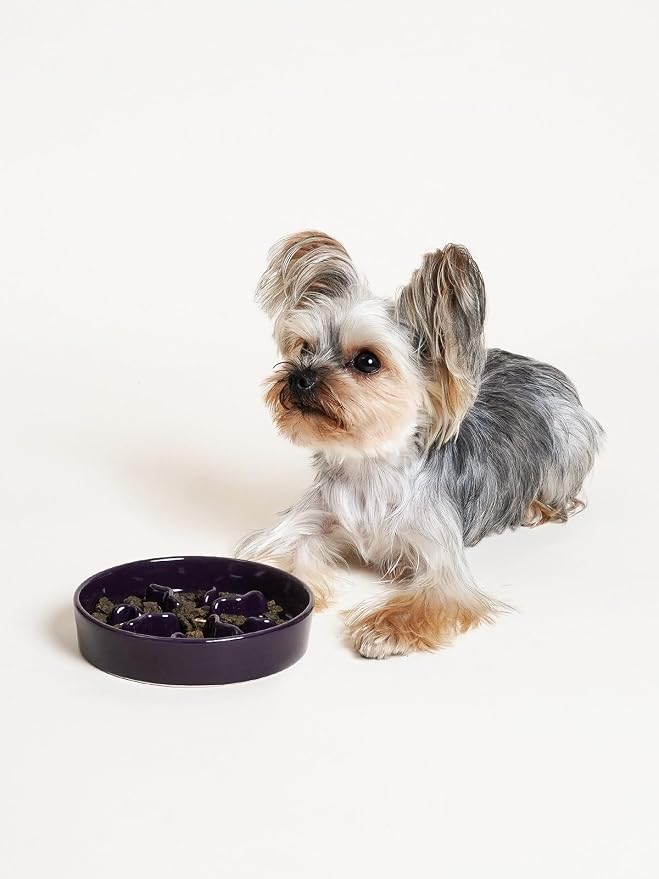 LE TAUCI PET Ceramic Slow Feeder Dog Bowls Small Breed, 0.5 Cups Dog Food Dish for Fast Eaters, Puzzle Bowl for Small Dogs and Cats, 5.5 Inch-Purple - Image 6