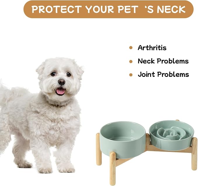 Havniva Elevated Slow Feeder Dog Bowls, Ceramic Dog Bowl Slow Feeder Set | 0.9 Cups Raised Slow Feeder Dog Bowl for Small Breed, 6.1” Dog Water Bowl with Wooden Stand, Puzzle Dog Food Bowl, Non-slip - Image 7
