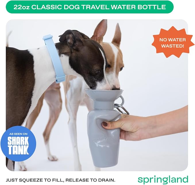 Springer Dog Water Bottle | Portable Travel Drinking Feeder Dispenser for Dogs & Puppies | As Seen on Shark Tank | Leak-Proof Bowl | BPA-Free | Outdoor Walking, Hiking & Travel | 22oz Gray - Image 2