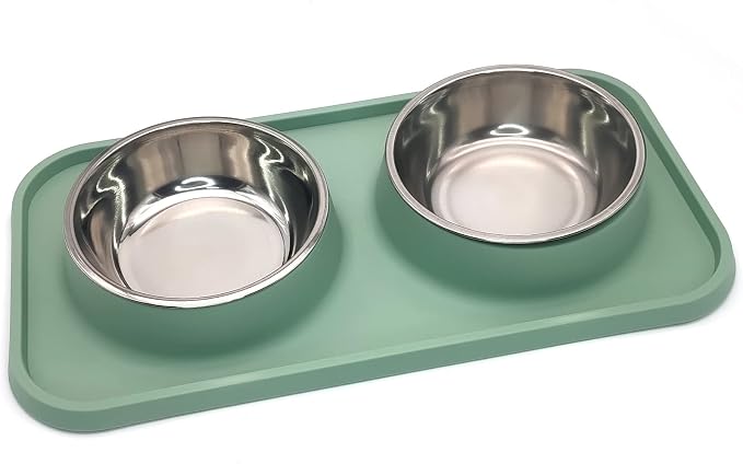 BNOSDM Double Dog Food Bowls Stainless Steel Dog Food and Water Bowls with Non-Spill Plastic Mat Pet Cat Feeder Bowl Set for Puppy Cats Kitten Small Medium Dogs Green by BNOSDM