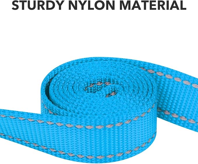 Taglory Reflective Dog Leash for Medium Large Dogs, 1in x 5ft, Sky Blue | Ideal for Night Walking, Strong for Sudden Pulls, Lightweight & Gentle on the Neck, Soft Padded Handle - Image 3
