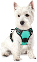 rabbitgoo Dog Harness, No Pull for Small Dogs with 2 Leash Clips, Pet Vest | No Choke with Handle, Adjustable Soft Padded, Reflective, Easy Control for Walking, Turquoise, X-Small by rabbitgoo