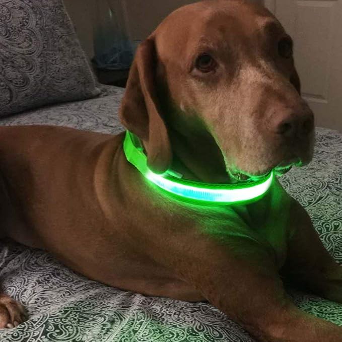 MASBRILL LED Dog Collar - Light Up Dog Collars Rechargeable - Waterproof Night Walking Glowing Dog Collar for Small, Medium, Large Dogs - Image 6