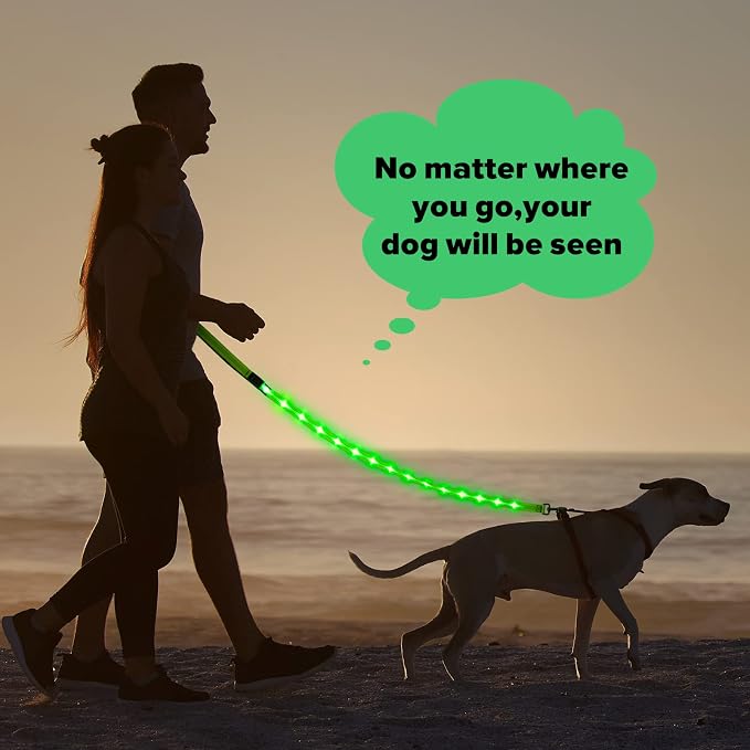 Illumifun LED Dog Leash, USB Rechargeable Glowing Light Up Dog Leash, Nylon Flashing Safety Pet Light for Night Walking (GreenⅡ) - Image 7