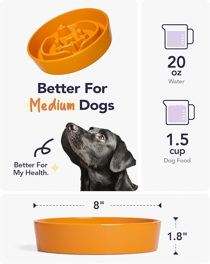 LE TAUCI Ceramic Slow Feeder Dog Bowl for Small Medium Dogs & Puppy, 1.5 Cup Puzzle Food Dish to Slow Down Eating, Pumpkin Orange - Image 3