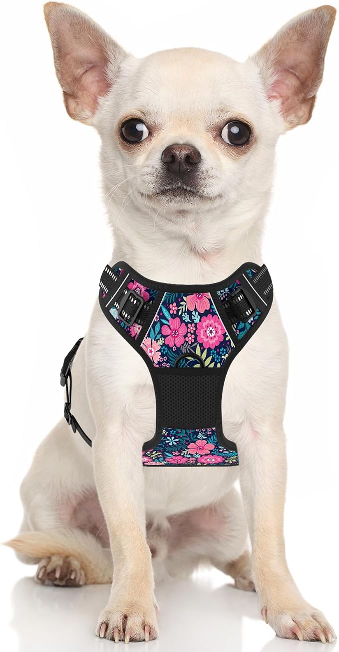Rnivvi No Pull Dog Harness, Cute Flower Reflective Small Sized Puppy Kitten Harness, Adjustable Soft Padded Vest for Small Dogs, Cats, Heavy Duty Pet Vest with Easy Control Handle for Walking, Elegant - Image 2