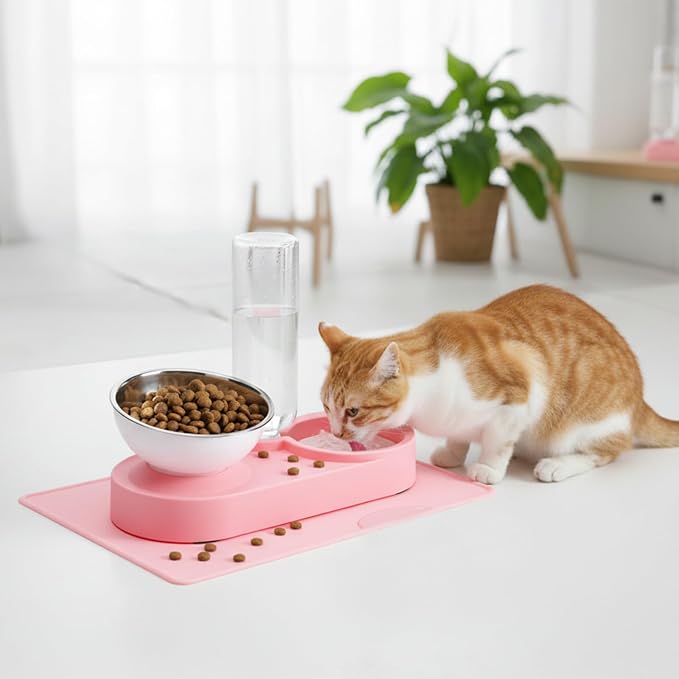 Double Elevated Dog Cat Food Water Bowls, Stainless Steel Cat Food Water Bowl with No-Spill Mat, Raised Tilted Dishes for Indoor Kitten, Puppies, Small or Medium Size Dogs Cats, Pink - Image 9