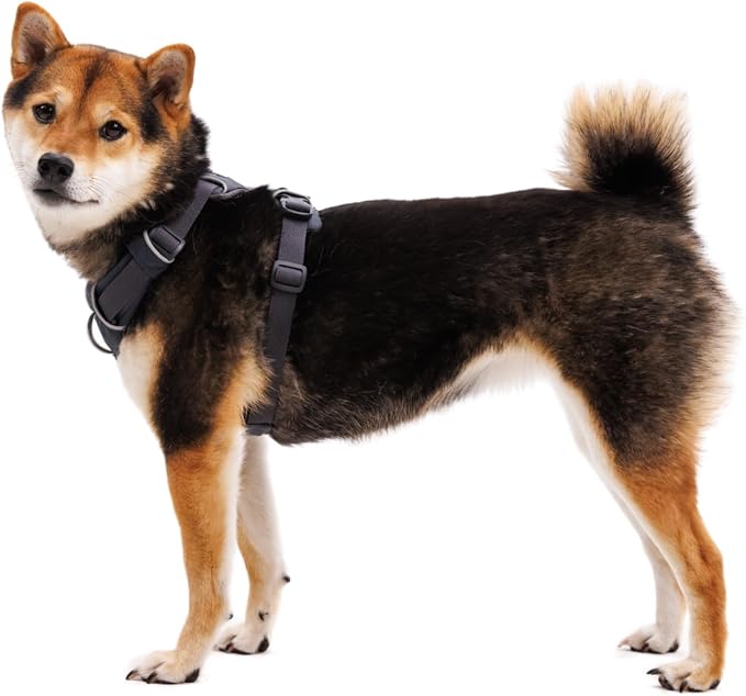 Ruffwear, Front Range Dog Harness, Reflective Soft Padded Everyday Harness with Dual Leash Clips, Adjustable and Lightweight Fit for Training or Walking for All Dogs, Blaze Orange, Large/X-Large - Image 6