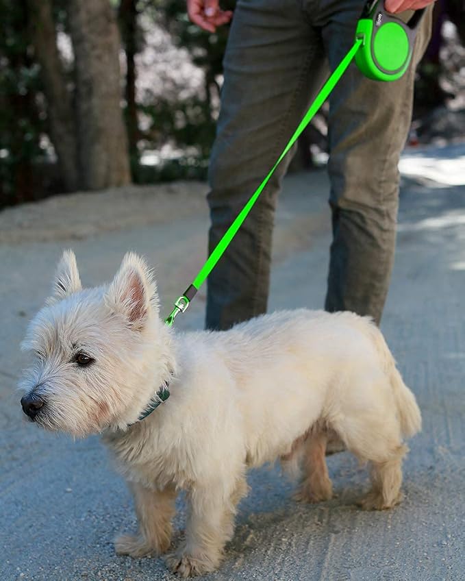 Taglory Retractable Dog Leash, One-Handed Brake, 16ft, Up to 44 lbs, Green | More Freedom While Staying in Control, Smooth Retraction, Tangle-Free Design, Easy-Grip Handle, Daily Neighborhood Walks - Image 7