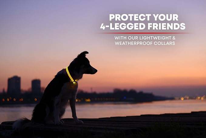 ILLUMISEEN LED Dog Collar USB Rechargeable - Bright & High Visibility Lighted Glow Collar for Pet Night Walking - Weatherproof, in 6 Colors & 6 Sizes (Yellow XX-Small) - Image 6