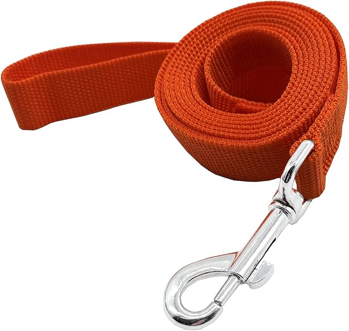 Nylon Dog Training Leash, Traction Rope, 4Ft /5 Foot /6 Feet Long, 5/8 inch 3/4 Inch 1 Inch Wide, for Small and Medium Dogs (1'' x 8 FT, Orange) by TAIDA