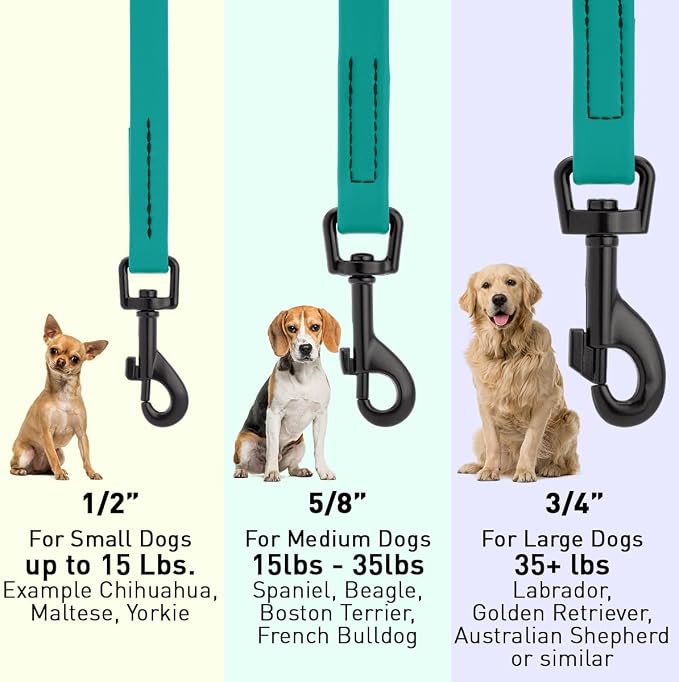 Dogline Biothane Waterproof Dog Leash Strong Coated Nylon Webbing with Black Hardware Odor-Proof Easy to Clean High Performance for Small or Large Dogs Made in USA 4 or 6 ft Lead, Blue Aqua - Image 3