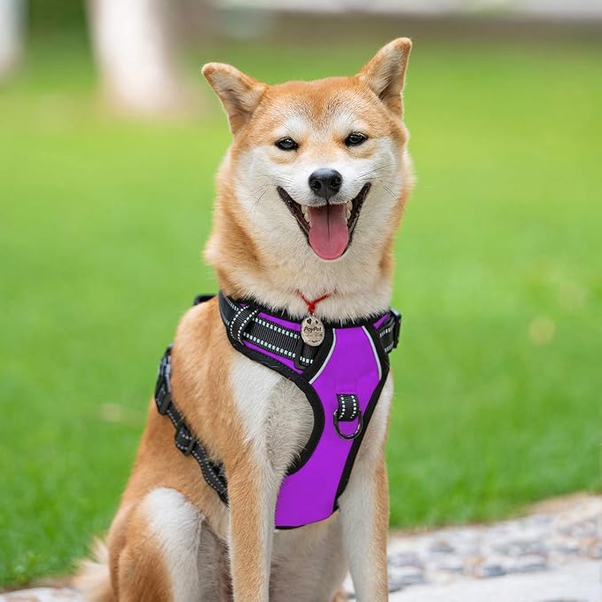 PoyPet No Pull Dog Harness Large, Reflective Vest with Front Clip & Handle | Easy On/Off, No Choke, Adjustable, 2 Leash D-rings, Soft Padded, Breathable, Oxford, for Walking Training, XL, Purple - Image 2