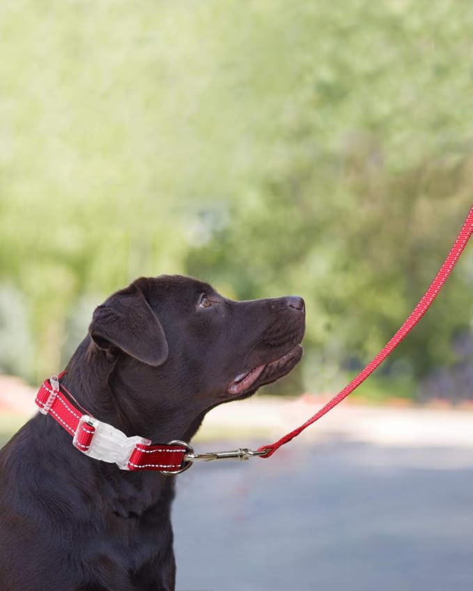 Taglory Reflective Dog Leash for Medium Large Dogs, 1in x 6ft, Red | Ideal for Night Walking, Strong for Sudden Pulls, Lightweight & Gentle on the Neck, Soft Padded Handle - Image 8