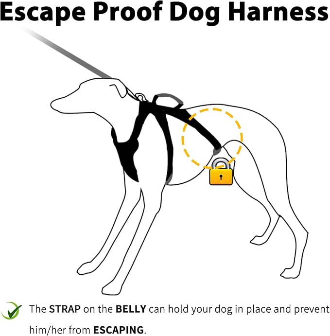 Escape Proof Dog Harness,Secure Dog Harness No Escape,Fully Reflective Harness with Handle,Breathable,Durable,Adjustable Vest for Small Dogs Walking,Training & Running Gear(Lavender Purple,XS) - Image 2