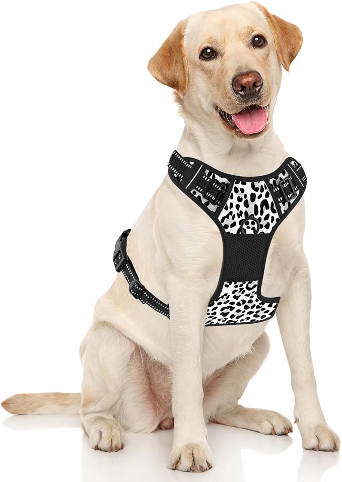 Rnivvi No Pull Dog Harness, Cute Leopard Reflective Medium Sized Puppy Kitten Harness, Adjustable Soft Padded Vest for Medium Dogs, Heavy Duty Pet Vest with Easy Control Handle for Walking, White - Image 2