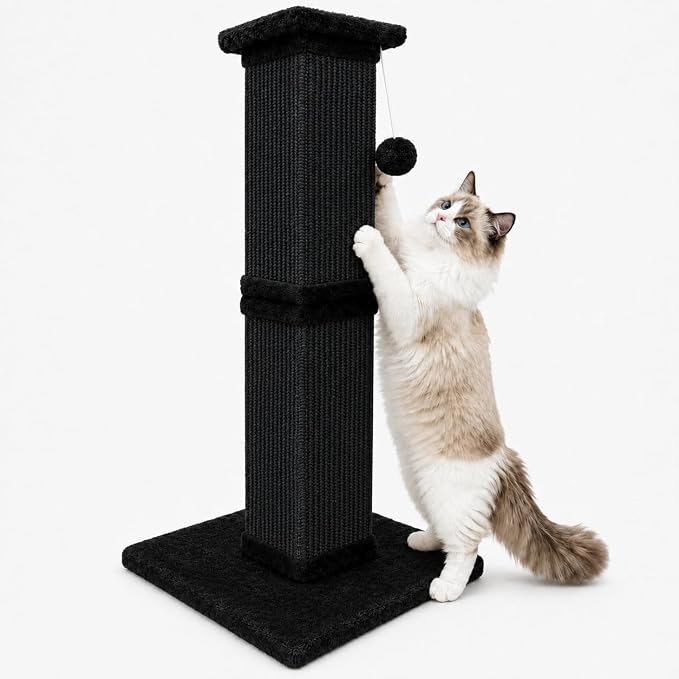 Cat Scratching Post for Indoor Cats, Sisal Cat Scratcherl, 32 Inch | Full-Body Stretching Cat Scratch Post, Wide Stable Base, Heavy Duty Post for Cat Adults to Protect Furniture, Pure Black by AGYM