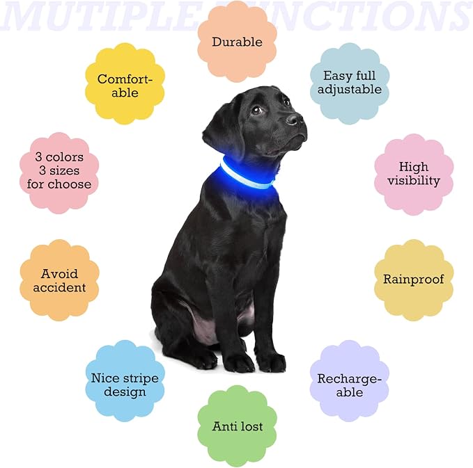 LED Dog Collar, Dog Light Up Collar,for Night Walking (Small, Blue-2) | Full Adjustable,Waterproof,Nylon,Soft,Super Bright Light Collars for Small Medium and Large Dogs,USB C to Charge - Image 4