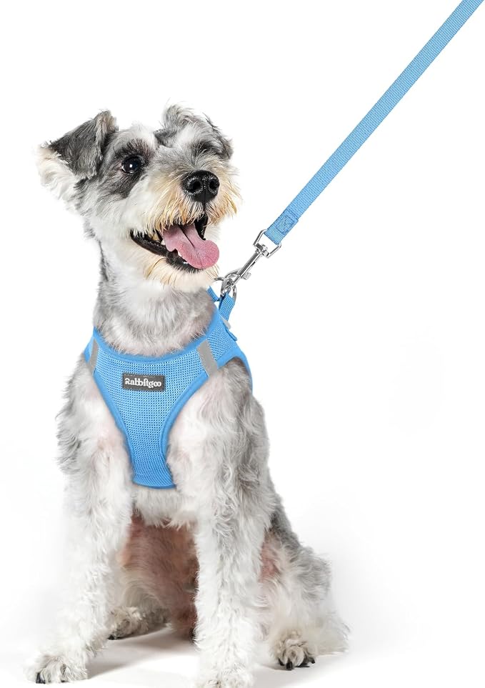 rabbitgoo Dog Harness Medium Sized and Leash Set, Step-in Puppy Pet Vest | Light, Soft, Breathable Air Mesh, Easy on and Remove with Hook & Loop, Secure Reflective for Walking, Blue XL by rabbitgoo