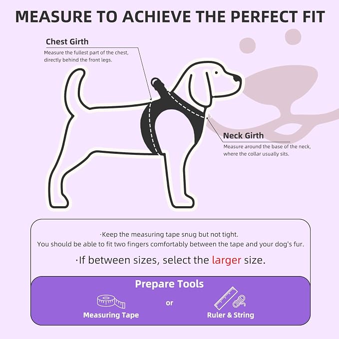 PUPTECK Dog Harness, Collar and Leash Set No Pull for Small Medium Sized | Plaid Puppy Step-in Escape Proof Reflective No Choke Pet Cat Adjustable Walking Vest - Image 2