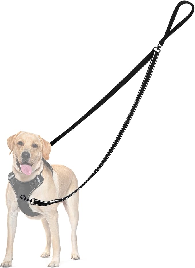 PetBonus Two Point Control Dog Leash, No Tangle Training Walking Leashes | Soft Padded Handle, Reflective, Works with No Pull Harnesses, Converts to Single Lead for Medium Large Dogs, Black by Petbonus