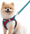 rabbitgoo Dog Harness Small Sized and Leash Set, Step in Soft Vest | Breathable Mesh, Easy Wear with Hook & Loop, Light and Reflective for Walking, Multi-colored, Red & Teal, M by rabbitgoo